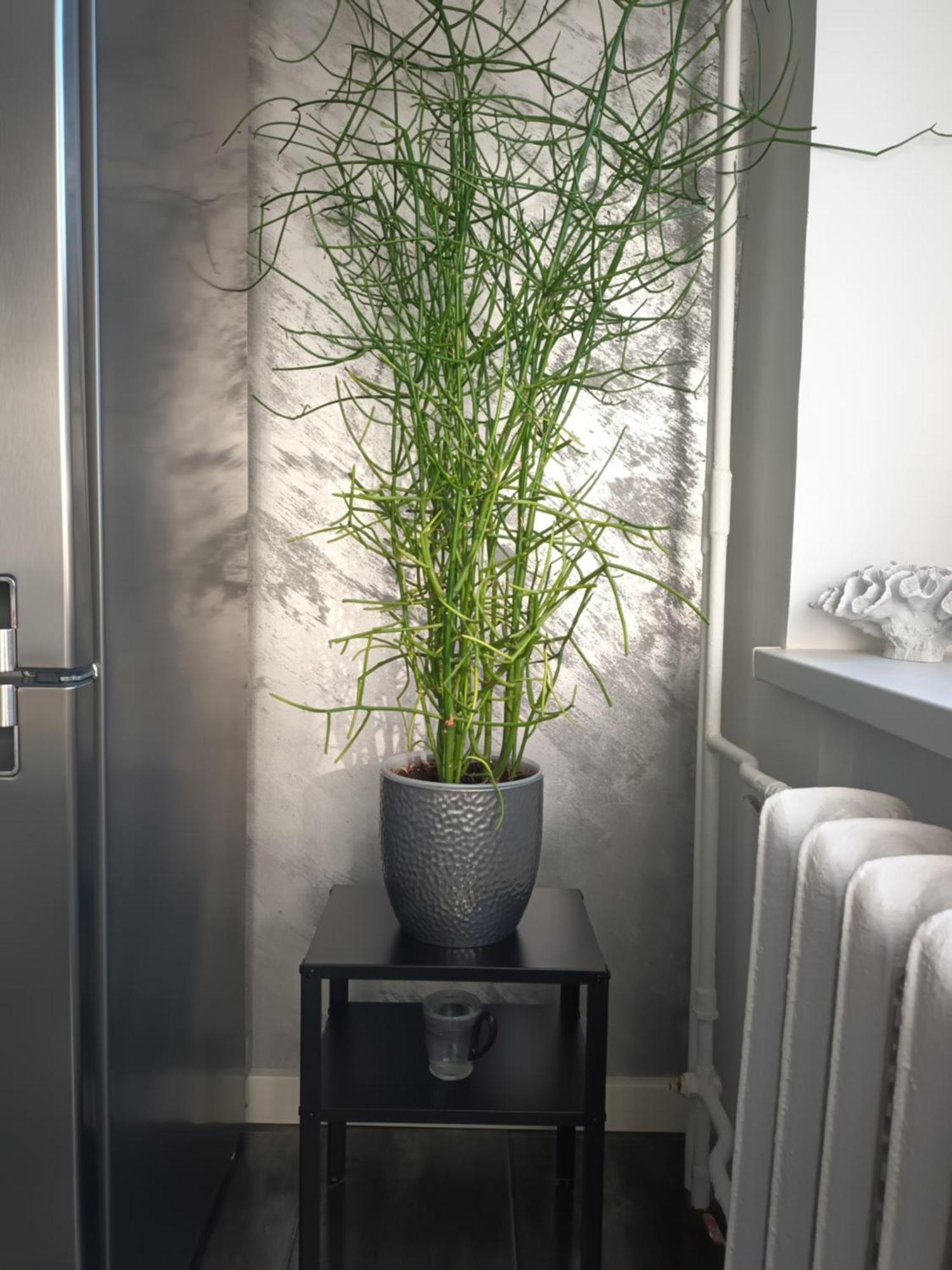 Apartment Апартаменты Таллин